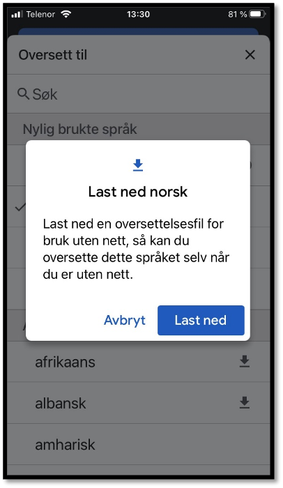 Skjermdump fra Google Oversetter som viser muligheten til å laste ned norsk oversettelsesfil